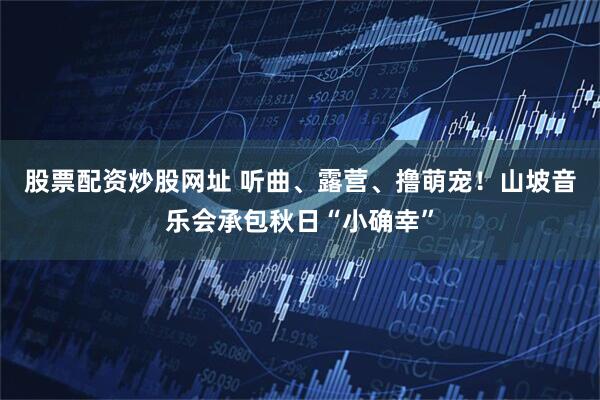 股票配资炒股网址 听曲、露营、撸萌宠！山坡音乐会承包秋日“小确幸”