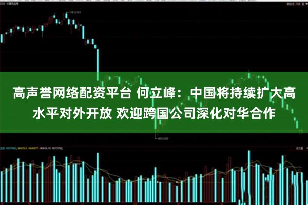 高声誉网络配资平台 何立峰：中国将持续扩大高水平对外开放 欢迎跨国公司深化对华合作