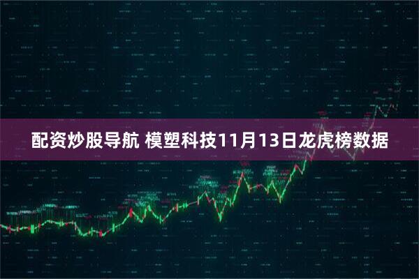配资炒股导航 模塑科技11月13日龙虎榜数据