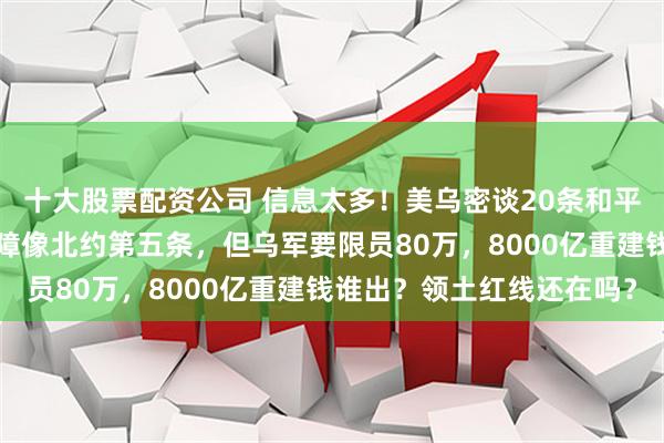 十大股票配资公司 信息太多！美乌密谈20条和平新版计划出炉，安全保障像北约第五条，但乌军要限员80万，8000亿重建钱谁出？领土红线还在吗？