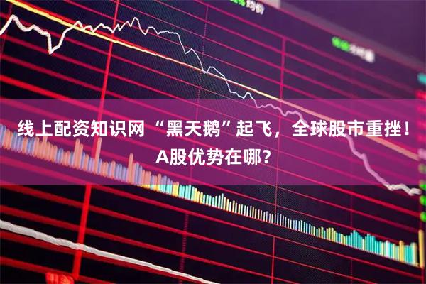 线上配资知识网 “黑天鹅”起飞，全球股市重挫！A股优势在哪？