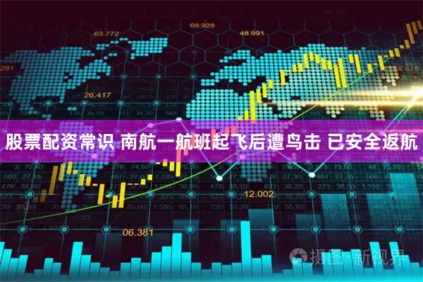 股票配资常识 南航一航班起飞后遭鸟击 已安全返航